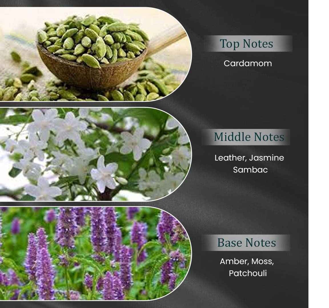 OMBRE SUEDE by Symphony Eau De Parfum 100ml