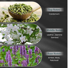 OMBRE SUEDE by Symphony Eau De Parfum 100ml