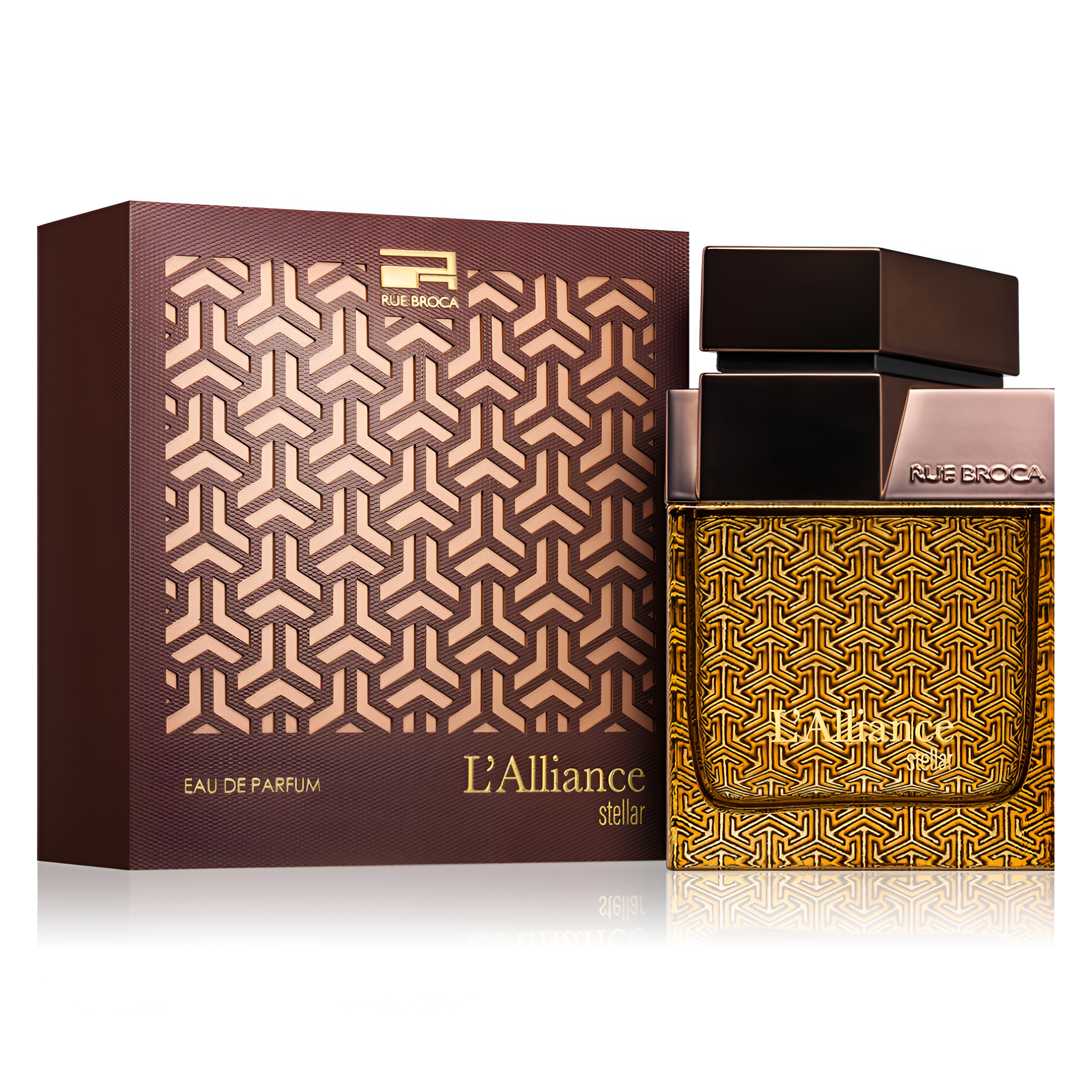 RUE BROCA L'ALLIANCE STELLAR